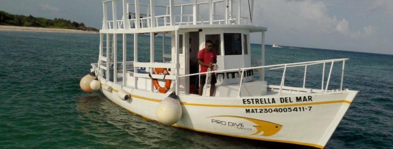 Pro Dive International Dive Centers in Mexico & Dominican Republic